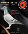 图片暂时未上传