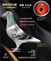 图片暂时未上传