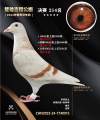 图片暂时未上传