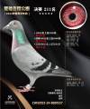 图片暂时未上传