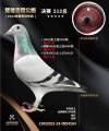 图片暂时未上传