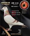图片暂时未上传