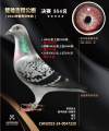 图片暂时未上传