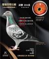 图片暂时未上传