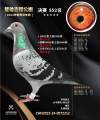 图片暂时未上传