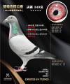 图片暂时未上传