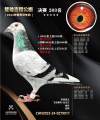 图片暂时未上传