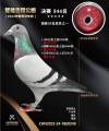 图片暂时未上传