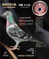 图片暂时未上传