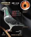 图片暂时未上传