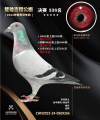 图片暂时未上传
