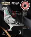 图片暂时未上传