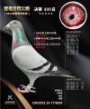 图片暂时未上传