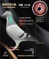 图片暂时未上传