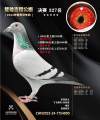 图片暂时未上传