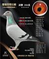 图片暂时未上传