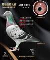 图片暂时未上传