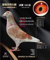 图片暂时未上传