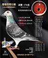 图片暂时未上传