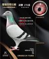 图片暂时未上传