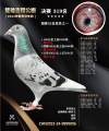 图片暂时未上传