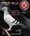 图片暂时未上传
