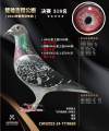 图片暂时未上传