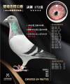 图片暂时未上传