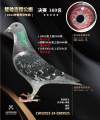 图片暂时未上传