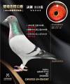 图片暂时未上传