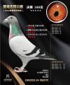 图片暂时未上传