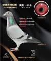 图片暂时未上传