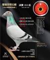 图片暂时未上传