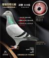 图片暂时未上传
