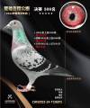 图片暂时未上传