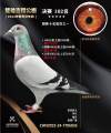 图片暂时未上传