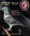 图片暂时未上传