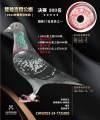 图片暂时未上传