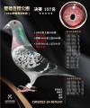 图片暂时未上传