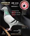图片暂时未上传