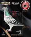 图片暂时未上传