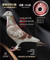 图片暂时未上传