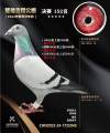 图片暂时未上传