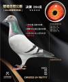 图片暂时未上传