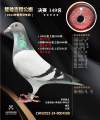 图片暂时未上传