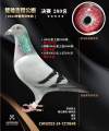 图片暂时未上传