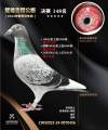 图片暂时未上传