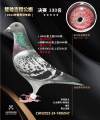 图片暂时未上传