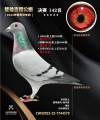 图片暂时未上传