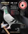 图片暂时未上传